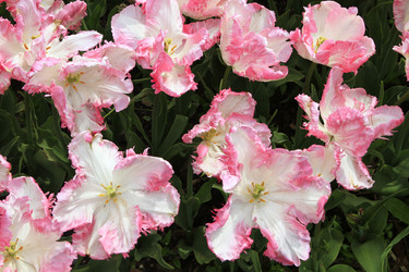 Similar image 21414554