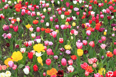 Similar image 21414556