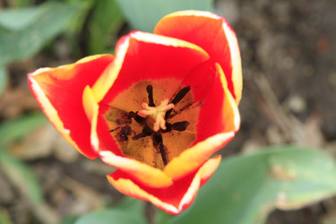 Similar image 21414557