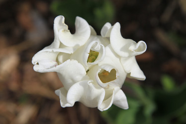 Similar image 21414559