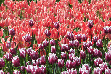 Similar image 21414561