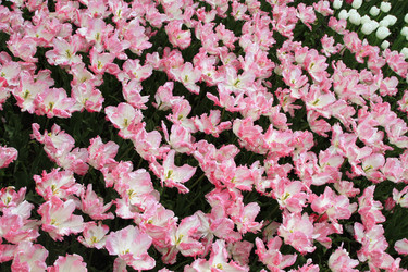 Similar image 21414562