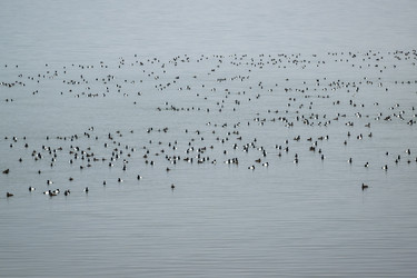 Similar image 21418784