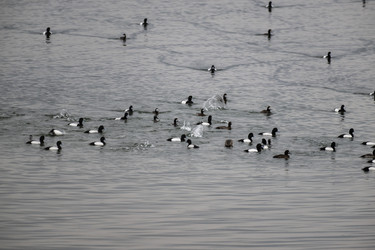 Similar image 21418785