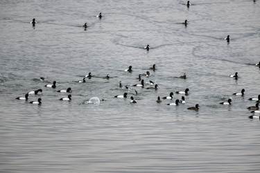 Similar image 21418786