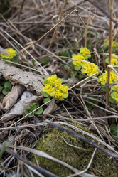 Similar image 21418787