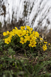 Similar image 21418788