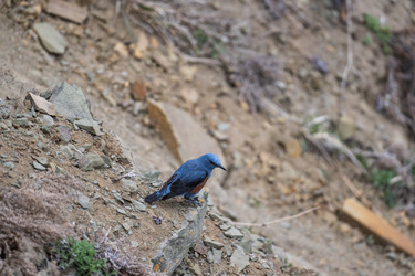 Similar image 21412617