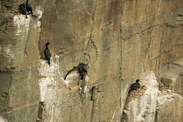 Similar image 21418789