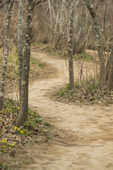 Similar image 21418790