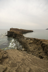 Similar image 21420202