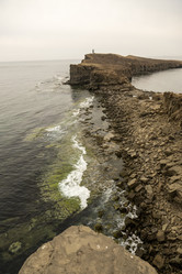 Similar image 21420205