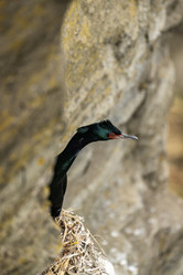 Similar image 21412619