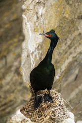 Similar image 21412620