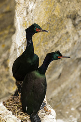 Similar image 21412621