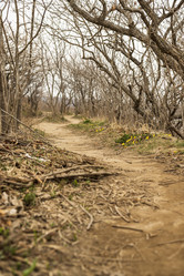 Similar image 21418791