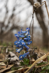 Similar image 21418792