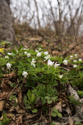 Similar image 21420213