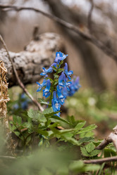 Similar image 21418793