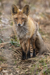 Similar image 21412623