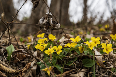 Similar image 21418795