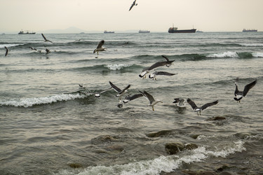 Similar image 21418796