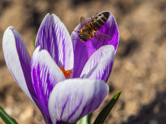 Similar image 21411915