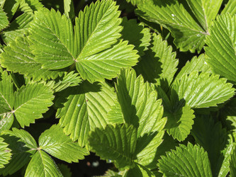 Similar image 21411916