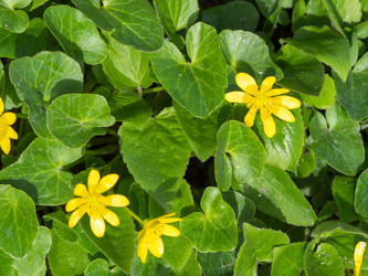 Similar image 21411918