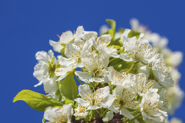 Similar image 21411919