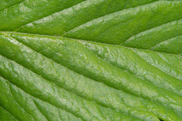 Similar image 21411921