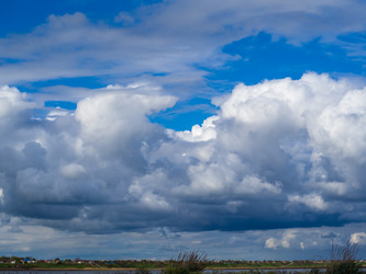 Similar image 21411922