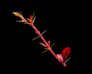 Similar image 21411925