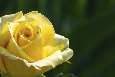 Similar image 21411926