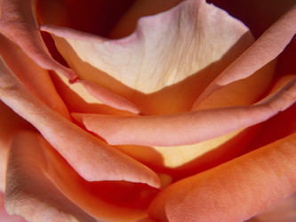 Similar image 21411928