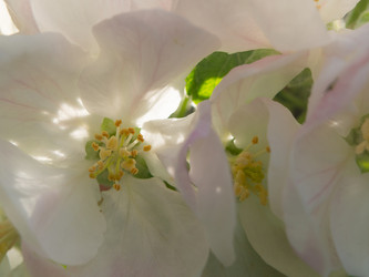 Similar image 21414568