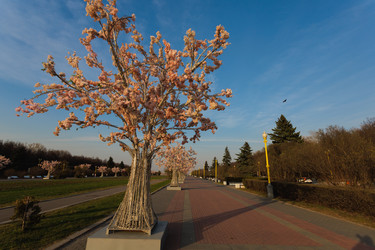 Similar image 21414570