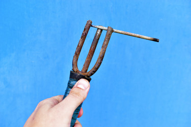 Similar image 21419687