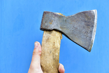 Similar image 21419694