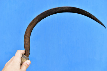 Similar image 21419716