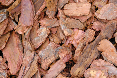 Similar image 21418825