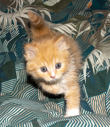 Similar image 21417733