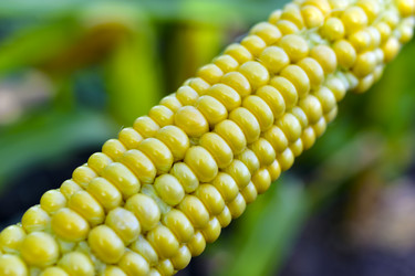 Similar image 21419723