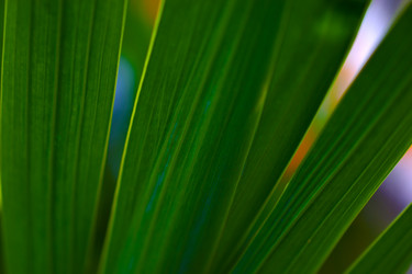 Similar image 21419725