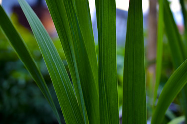 Similar image 21419727