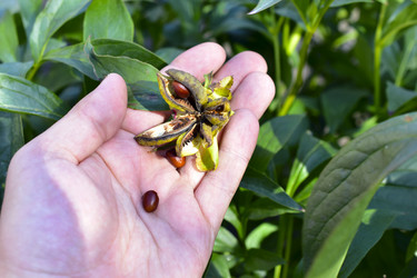 Similar image 21419729