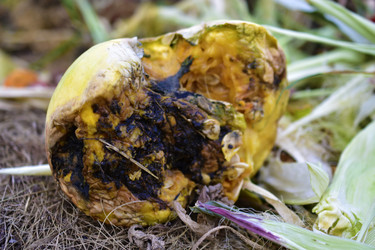 Similar image 21419732