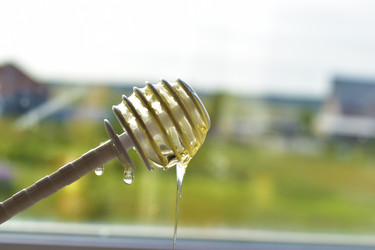 Similar image 21419733