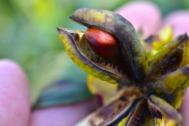 Similar image 21419734