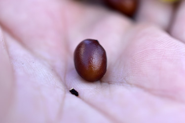 Similar image 21419736